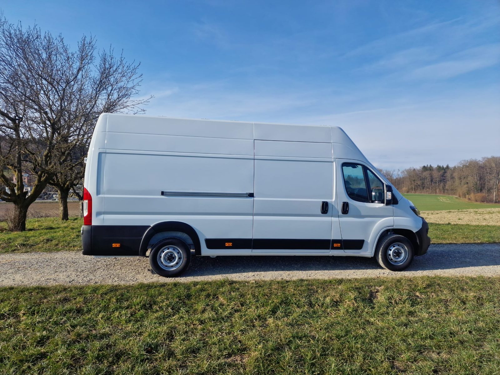 Palettentransport — termingerecht für Gewerbe und Industrie